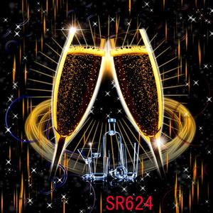 8'x8' SR624